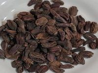 Leading Exporter of High Quality Hot Selling Black Cardamom at Factory Price