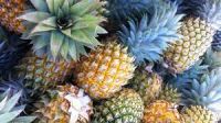 Agriculture fresh pineapple in Fresh Pineapple Wholesale Price Fresh Pineapples