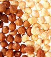 Hazelnuts suppliers Hazelnut kernels/Hazelnut in shell/ Organic hazelnut Roasted , Organic , Orginal