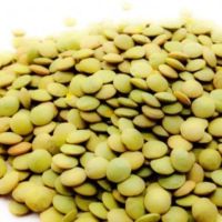 Supply lentils high quality green lentils 2021 new crop