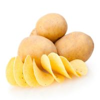 New crop fresh sweet potato wholesale price