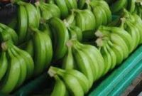 PREMIUM CAVENDISH BANANA - BEAUTIFUL GREEN - SPECIAL PRICE 2021