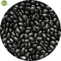 Small Black Kidney Beans Shanxi