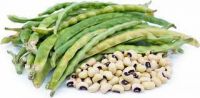 Uzbekistan HPS Sun Dried Vigna Beans Black Eyed Beans