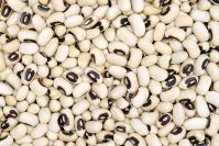 HPS Sun Dried Vigna Beans Black Eyed Beans available at great rates