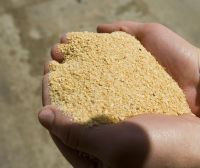 High Protein Soybean Meal 