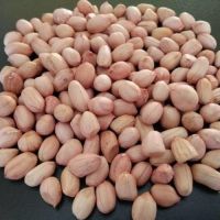 New Crop Peanuts Kernel, Raw Peanuts, Groundnuts Without Shell