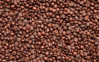 Raw Green Store Coffee Beans Supplier With Best Price