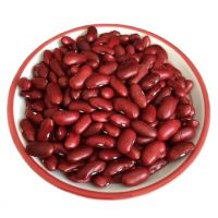 High Quality speckled light, Red, Black & White Kidney Beans