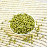 Wholesale Premium Quality Green Mung Beans 