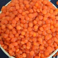 Wholesale green lentils Red lentils Lentils for sale