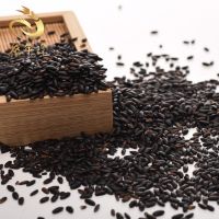 ORGANIC BLACK RICE- HIGH QUALITY- BEST PRICE