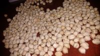 High Quality White Dried Chickpeas