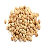 Coriander Seeds For Sale 