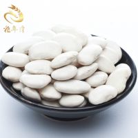 Wholesale Natural Organic Sugar White Kidney Bean