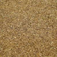 High Quality Chinese spice good prices of raw import cumin seeds ground cumin seed price