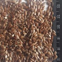 Flax Seeds Low Prices 