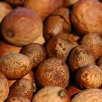 High Quality Mongongo nuts for sale