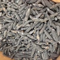 High Quality Dried Sea Cucumber for Sale