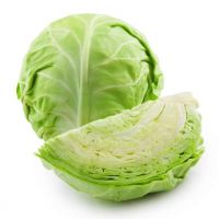 fresh delicious cabbage green big cabbage