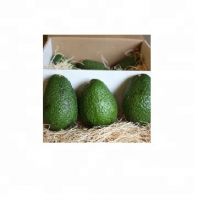 Fresh Avocado Hass & Fuerte From South Africa