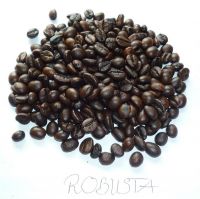 Kopi Luwak coffe beans 