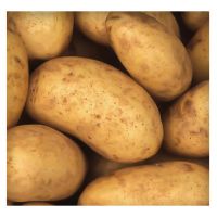 Fresh Yellow Potato At best Price 