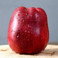 High quality fresh red delicious fruit huaniu apples