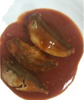 Factory directly 155g canned sardine in tomato sauce or with chili at lower price