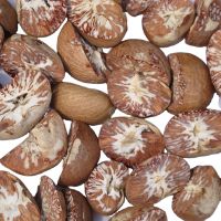 Whole Betel Nut competitive price