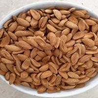 high quality wholesale Chinese organic raw almond great price exporter for sale in bulk s