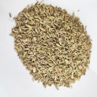 Fennel Seeds