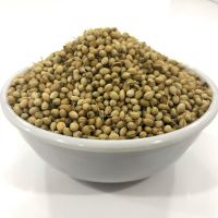 Coriander Seeds