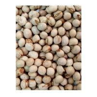 Quality Whole Pigeon Peas / Dried Pigeon Peas from CA;9 25 Kg AD with 2 Years Shelf Life Bulk, vacuum