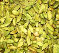 Cardamom