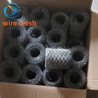 Brick Force Wire Mesh f