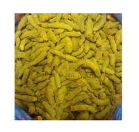 HIGH QUALITY  TURMERIC FINGER SPECIFICATION  