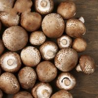 Pure Green Health Products Fresh And Dry Wholesale Price Mushrooms