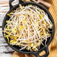 Mung Bean Sprouts