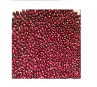 Black kidney beans 