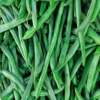 Fresh Vegetables Cluster Beans/Guar Exporter In India/Tamilnadu