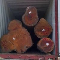 High Quality Round Teak Wood, Tali Wood, Padouk, Pine, Boxwood, Azobe Wood and Timber Logs