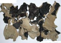 Organic Dried Black Fungus Mushroom