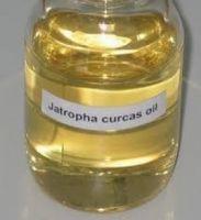 Crude Jatropha Oil