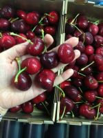 Fresh Sweet Cherry