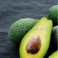 Fresh Avocado