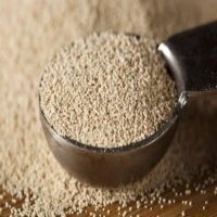 Instant Baking Dry Yeast