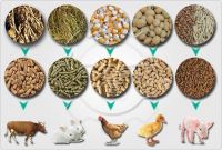 Why should we use Animal feed