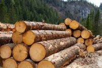 Why should we use Hard Wood Timber