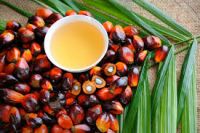 what is palm oil used for
